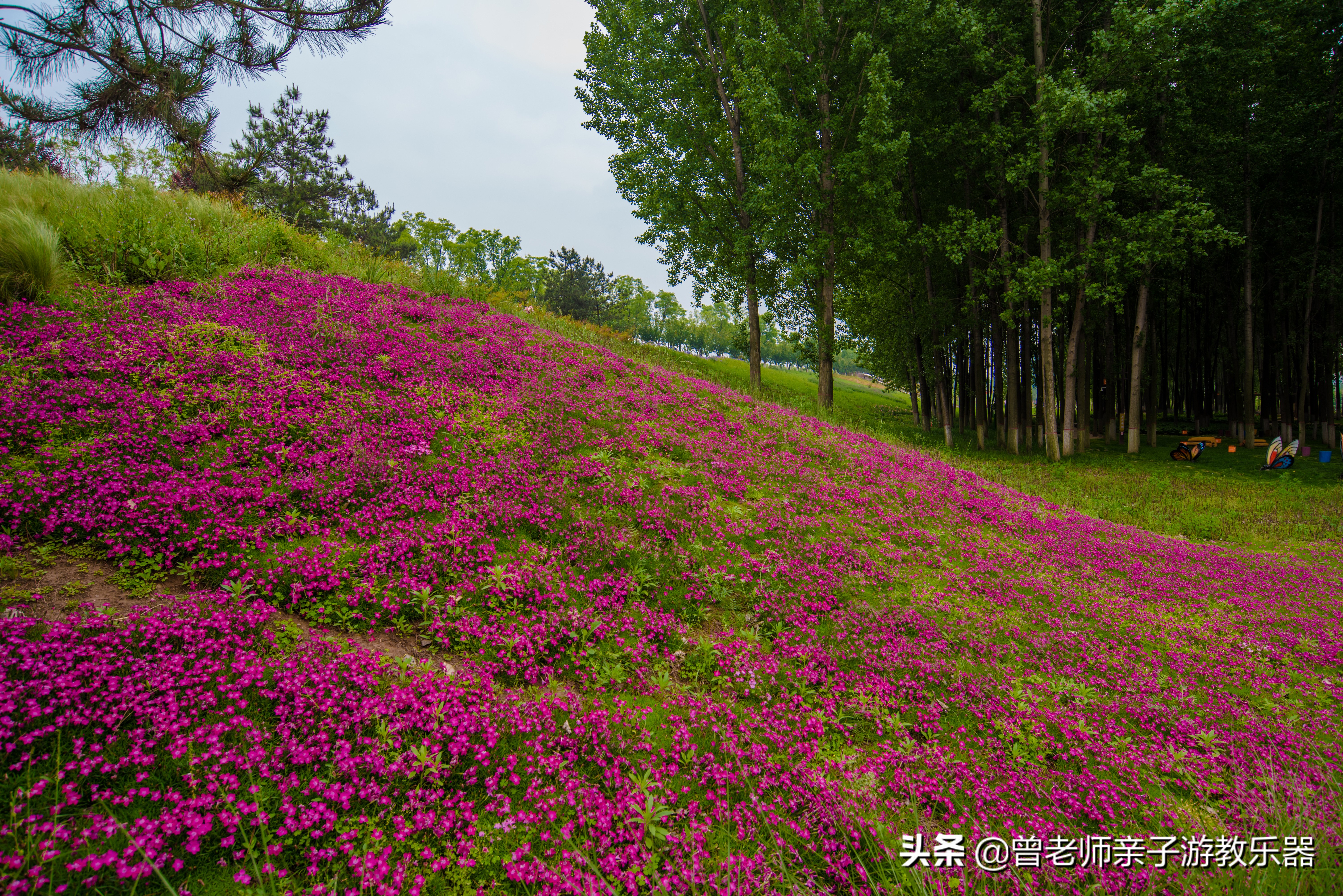 西安绿道旅游景点,西安三河一山绿道攻略