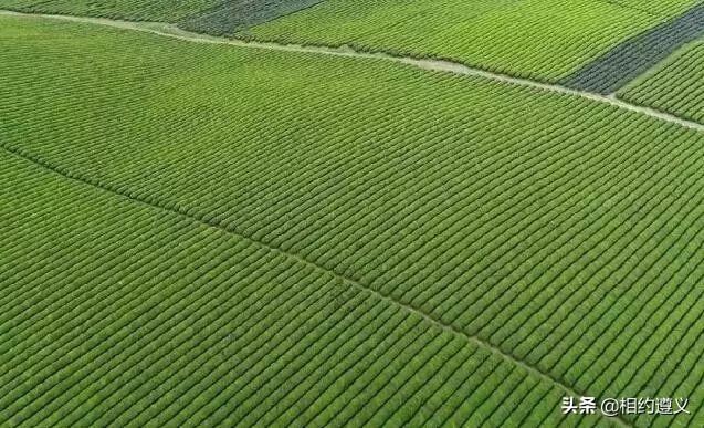 遵义一座来了就不想走的城市,醉美之城遵义太美了