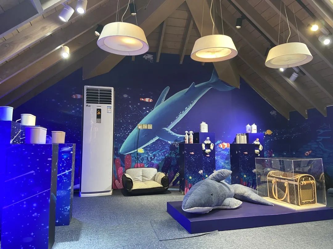 宠爱新开业,丁丁快闪店最新消息