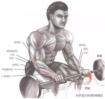 减脂健身计划一周表,减脂健身计划一周表图