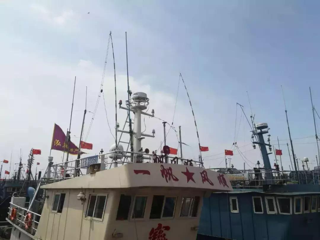 青岛开海了新鲜肥美的海鲜已上市,青岛开海红岛海鲜八大关