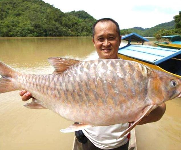 十年前，我只带了一根鱼竿出门，吃遍了世界上的各种顶级海鲜