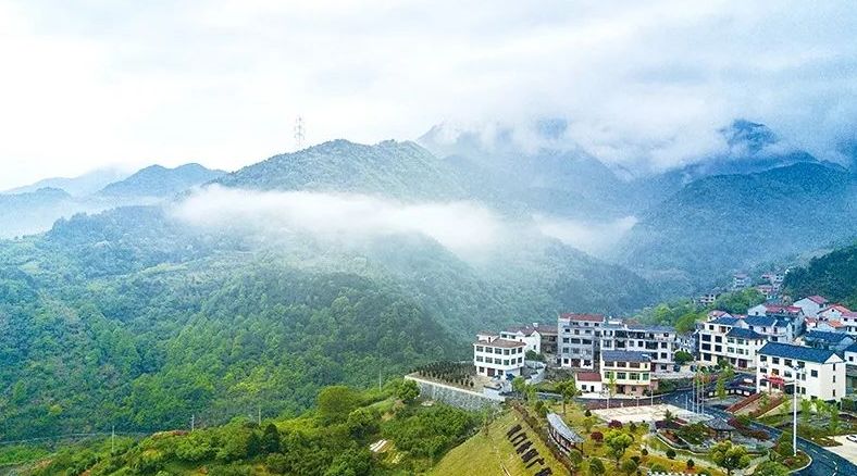 金华十大镇排名,金华十大县排名