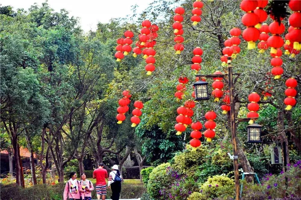 郑州春节周边景区免费景点大全,春节赏花的好去处