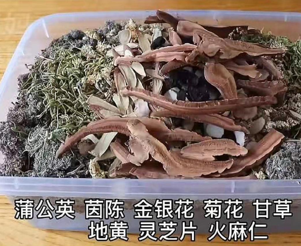 最爱的乌龟做成龟苓膏,用真的乌龟制作龟苓膏