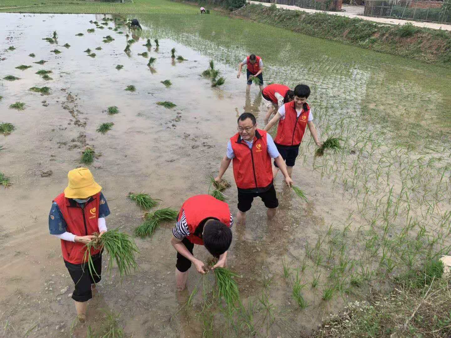 用责任担当书写脱贫答卷——记中国电信赣州信丰分公司驻嘉定镇月岭畲族村第一书记李明强