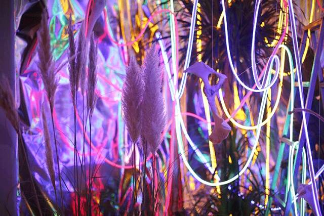 杨澜专访张艾嘉,杨澜采访张艾嘉