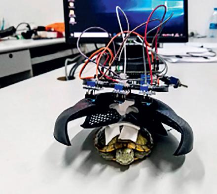 王凯机器人,王凯宁波赛道