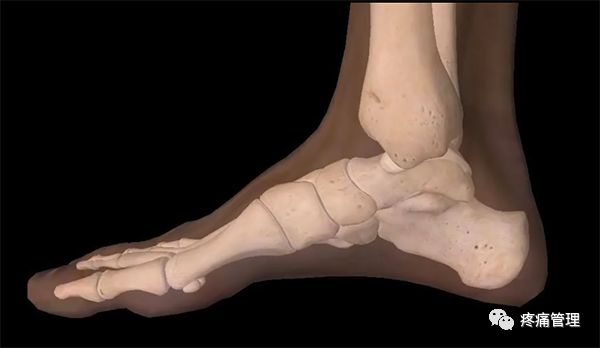 专门改善扁平足的运动,站着改善x型腿