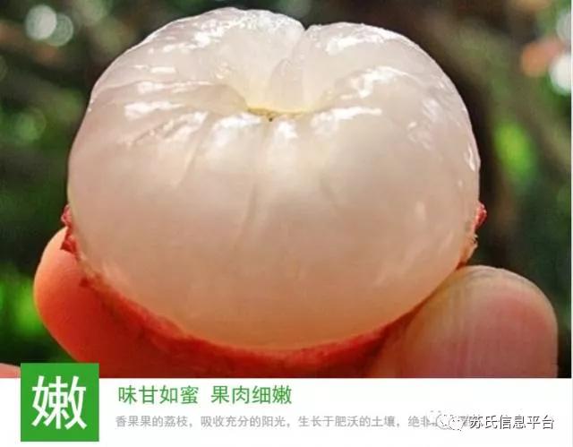 「苏商名片」茂名苏氏土特产有限公司「新品上市…快」