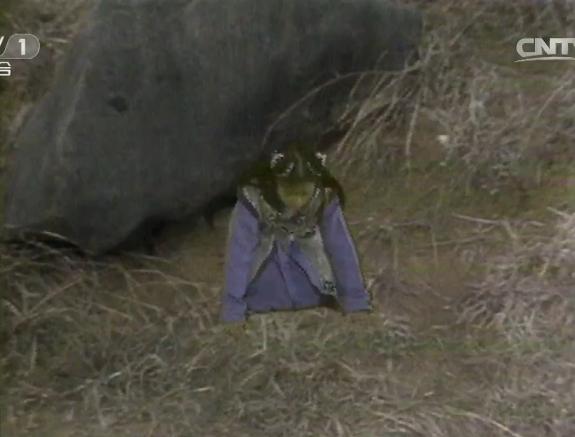 西游记三十年再聚首杨洁六小龄童,西游记拍摄花絮孙悟空和二郎神