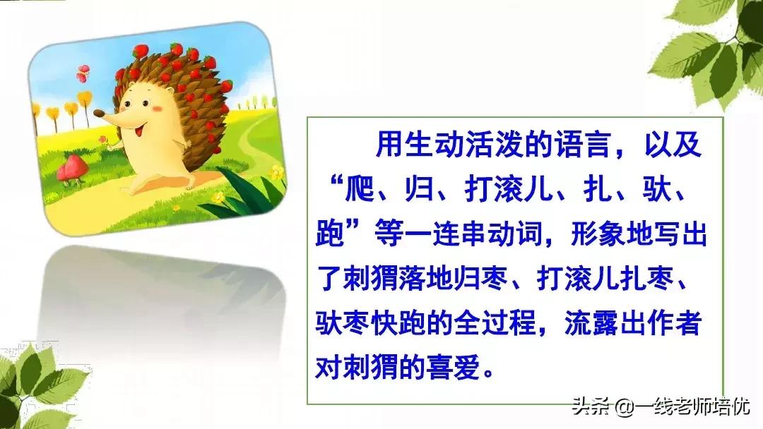 带刺的朋友三年级上册,三年级语文带刺的朋友课文知识点