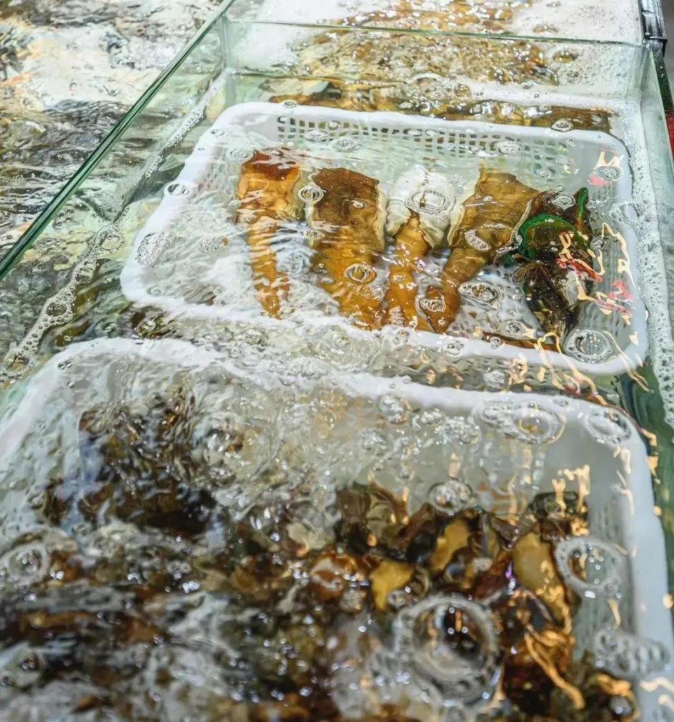 大渔铁板烧里的芝士扇贝,日式铁板烧芝士焗大虾