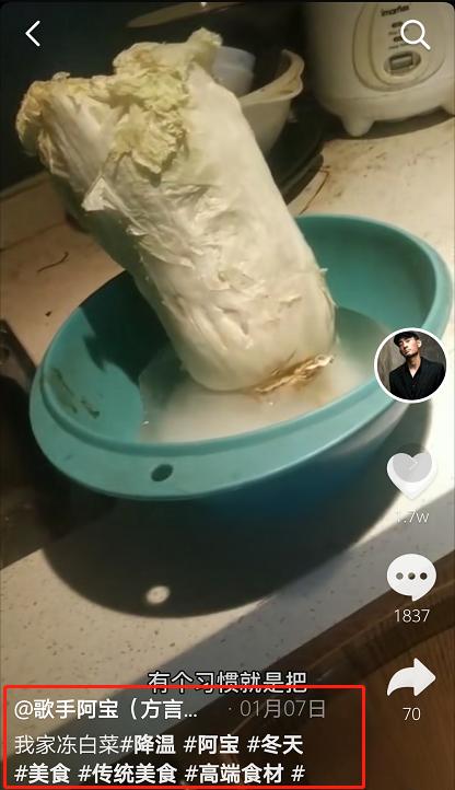 阿宝原型视频完整版,阿宝造型视频大全