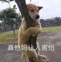 别再被伪国货骗了,别再被假货骗