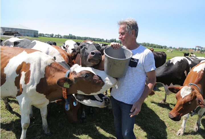 煎牛排大火会糊吗,煎牛排温度高黄油糊了