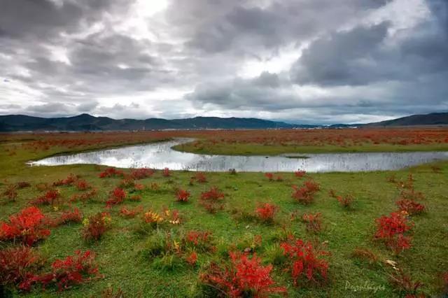 国庆旅游稻城亚丁自驾游最佳路线,国庆川西稻城亚丁风景区一日游