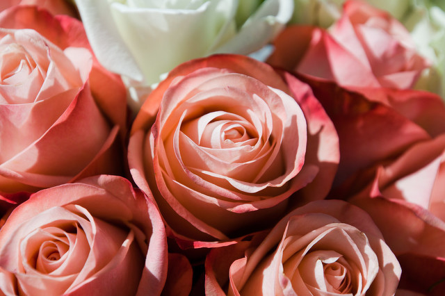 姨妈色到底是什么颜色,姨妈色到底是什么色