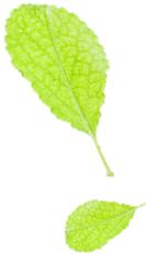 徐州绿建足球公园,徐州滨河体育公园