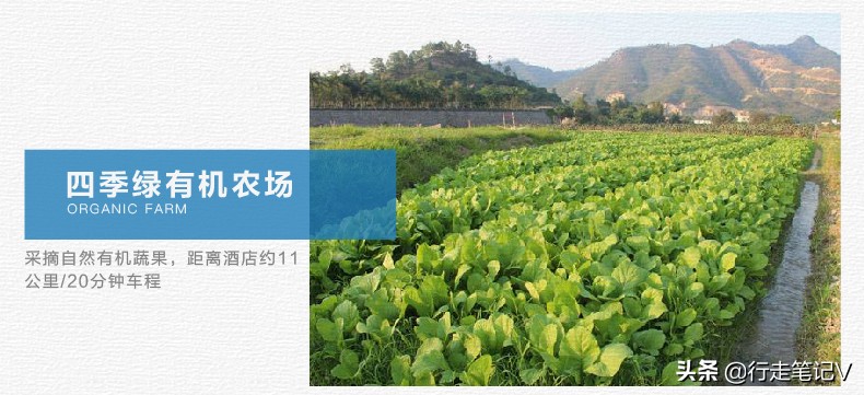 就连白鹭都中意的顶级度假村，不输巴厘岛的惠州候鸟，全家轻奢游