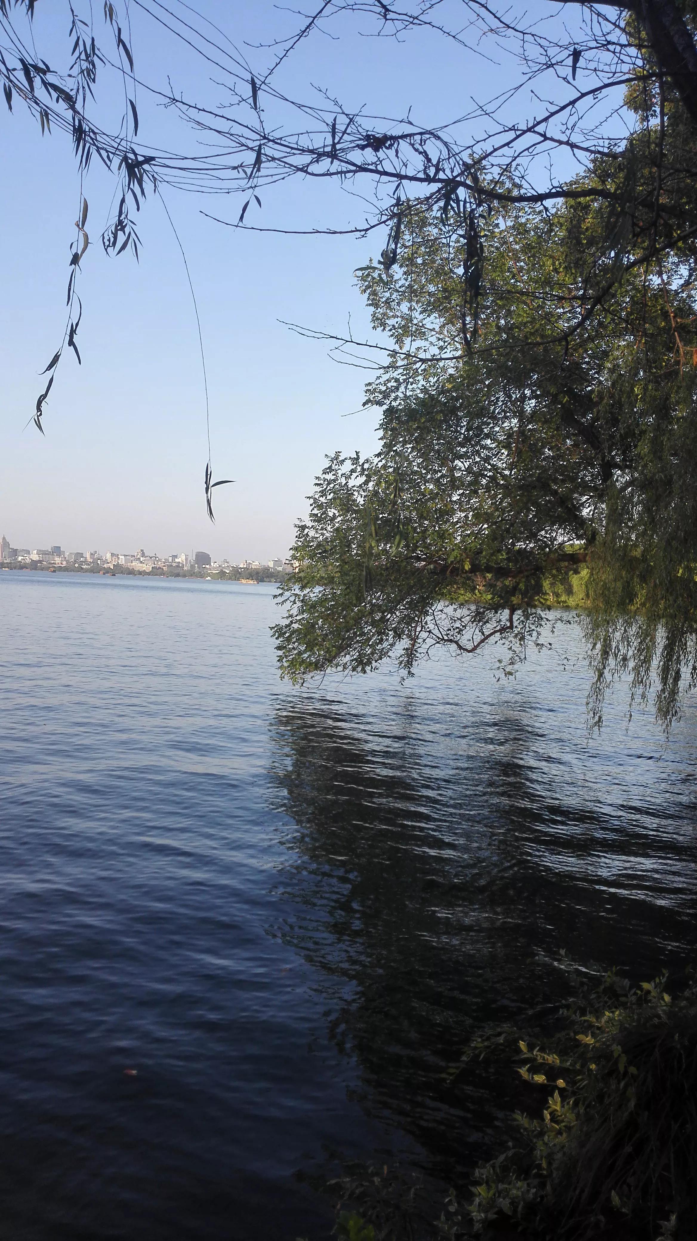 西湖美景美得醉人,西湖它就是一幅美丽醉人的画卷