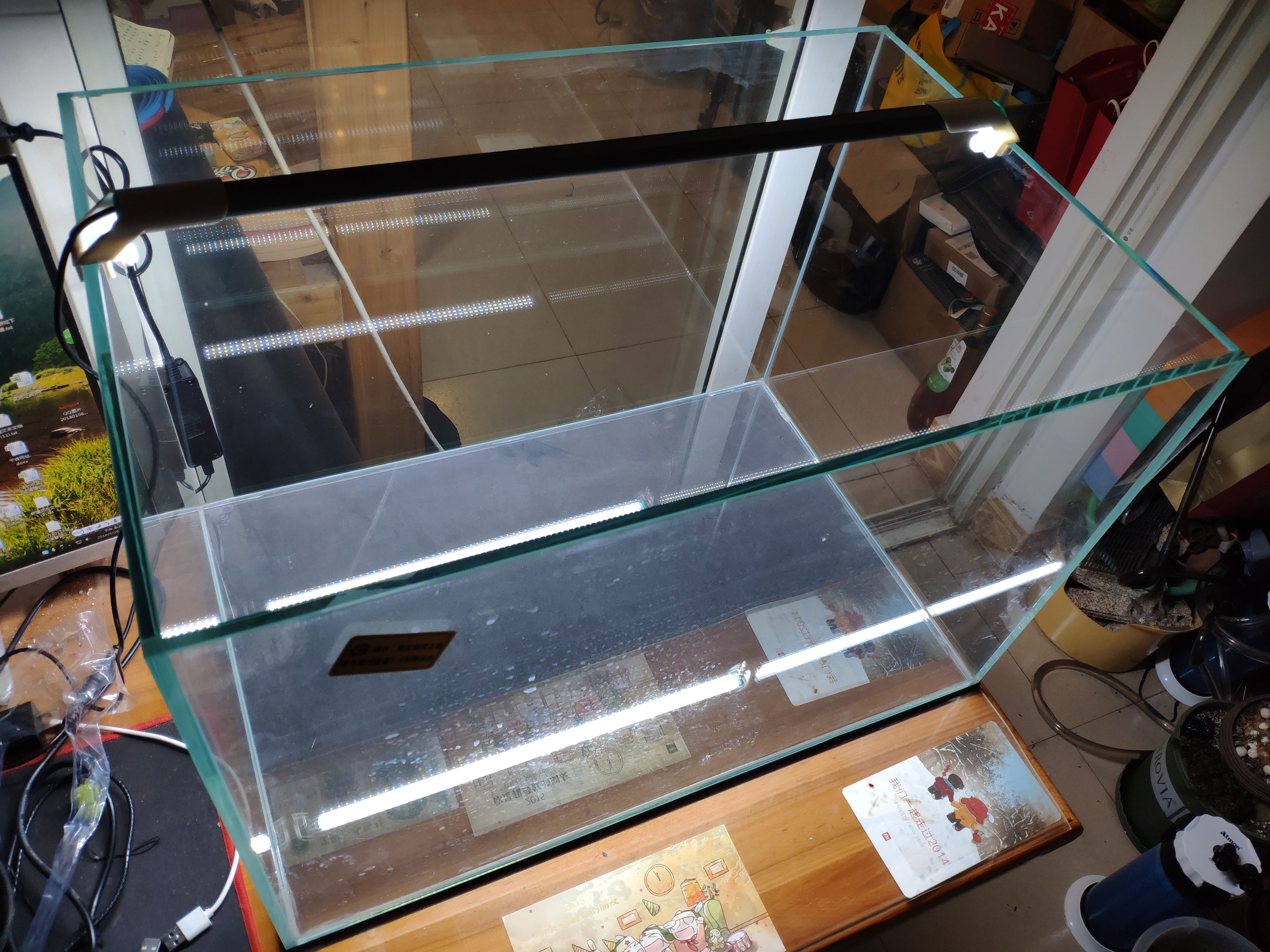 学生如何养金鱼,大学生养金鱼的秘诀