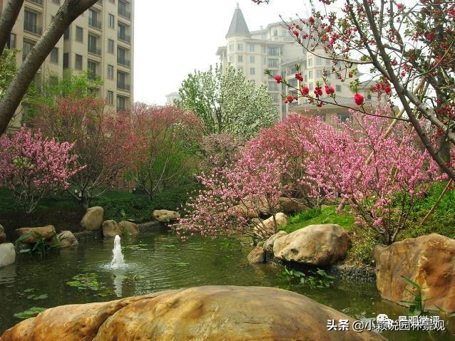 住宅小区植物配置方案,植物种植小技巧一览表图