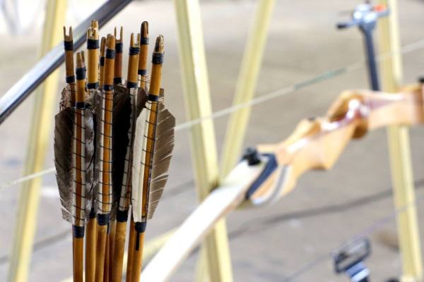 博德兰荚蒾对光照的需求,博德兰荚蒾怎么养护和种植