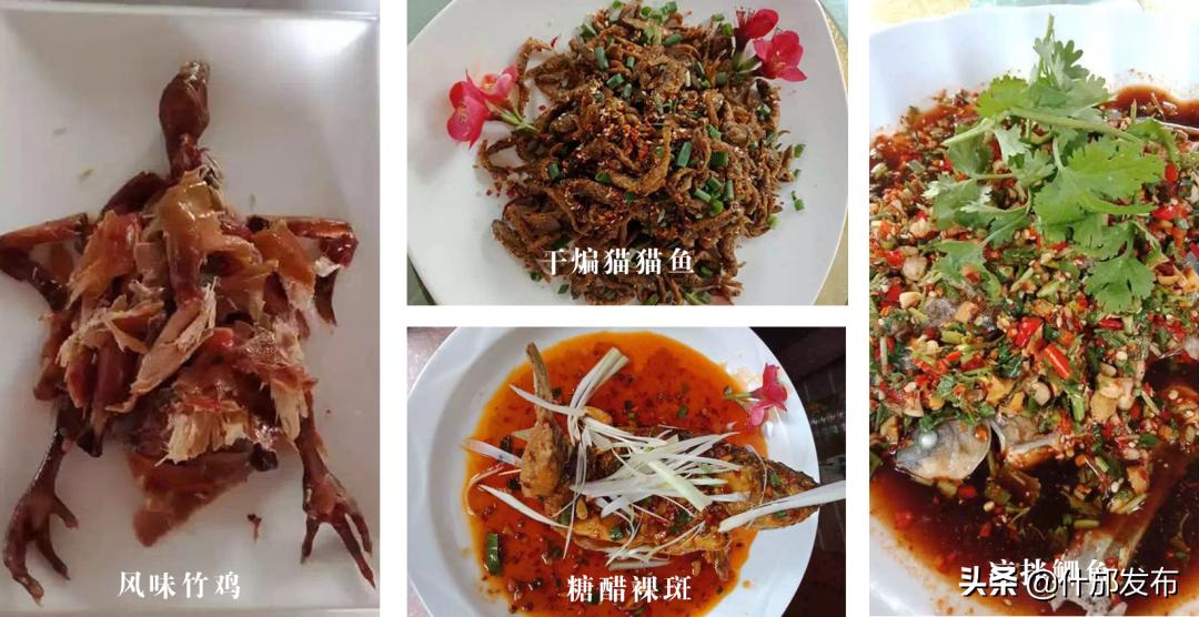 不负好春光文章,不负好春光的上一句