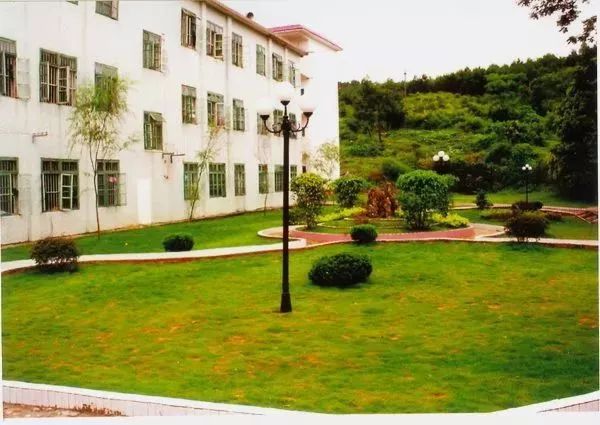 南京名校排名大学,南京各大名校排行