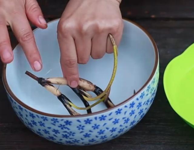 用碗莲的种子养殖多久可以开花,碗莲从种子到开花需要多长时间