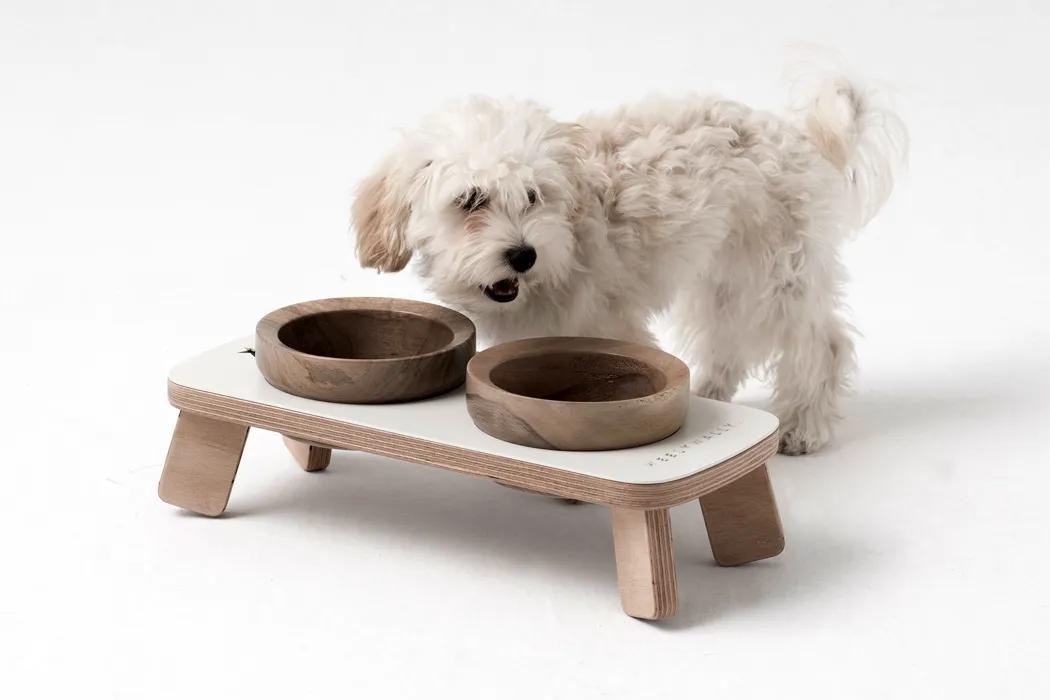 未来5年宠物智能产品,宠物产品logo设计