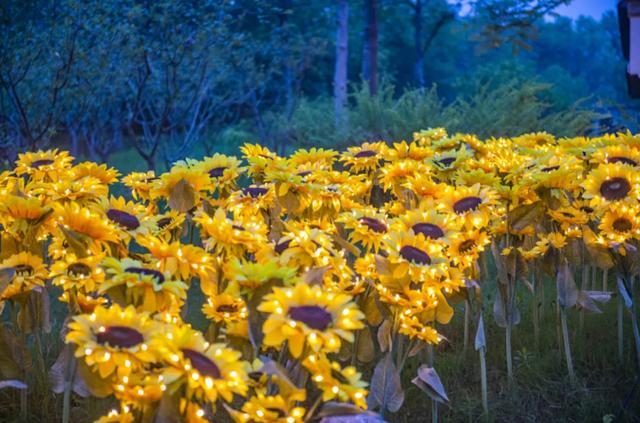 瘦西湖夜市怎么逛,瘦西湖夜市当天可以去吗