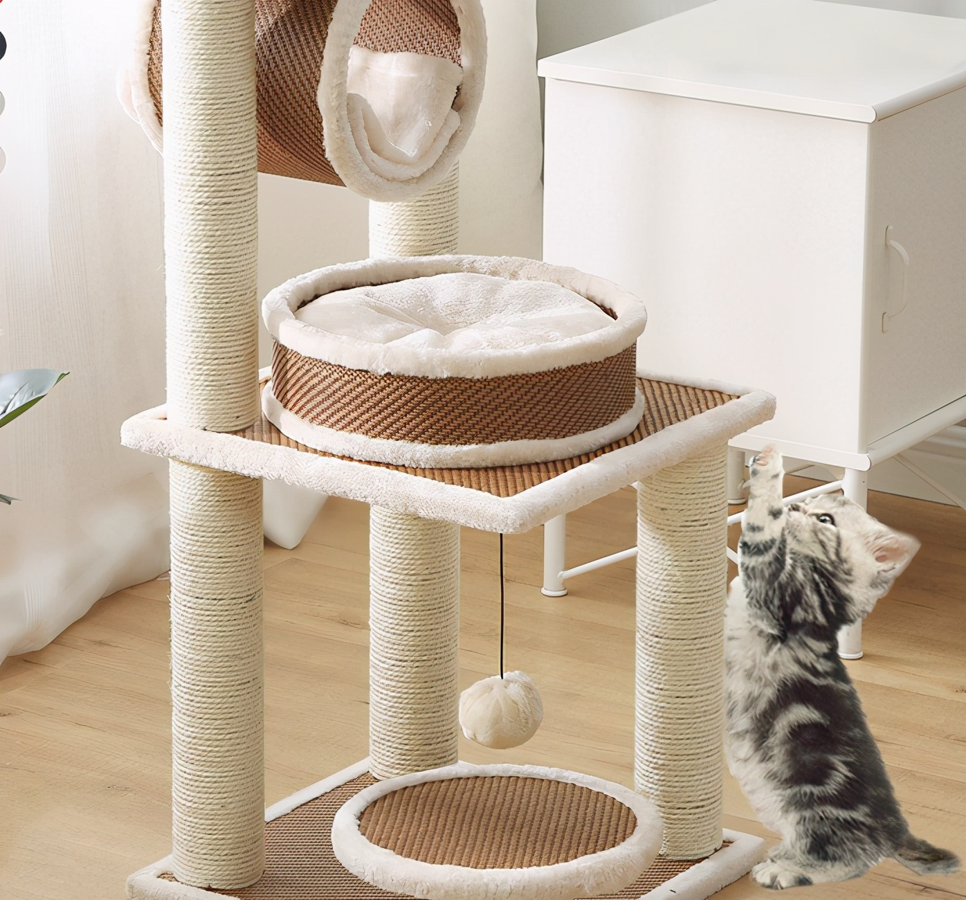 养猫必备物品需要多少钱,养猫必备物品羊奶粉