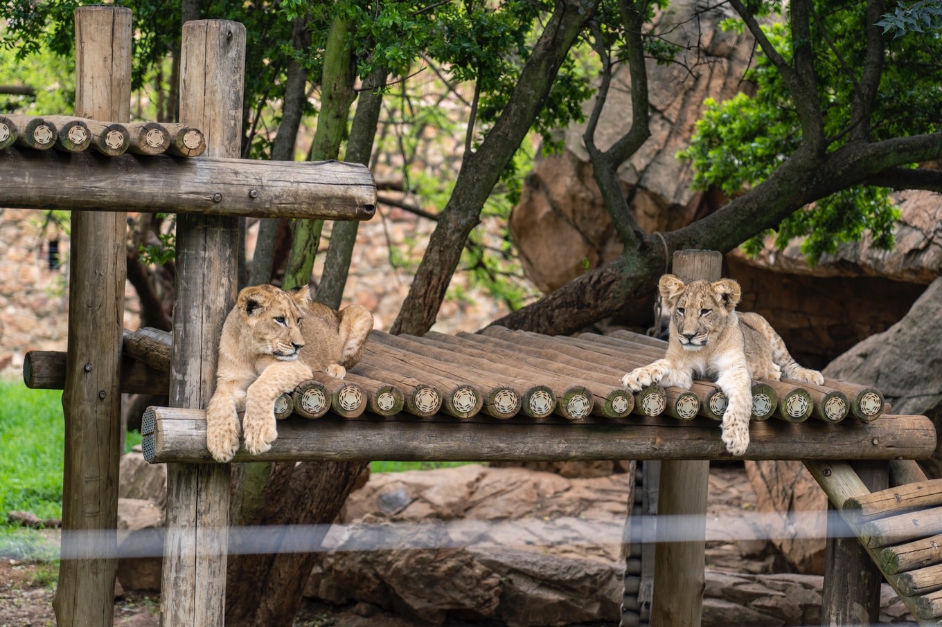 南非自驾游,南非自驾游最新