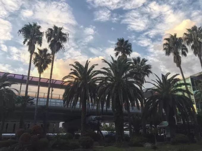 济州岛周末两日游,济州岛2天一夜跟团游