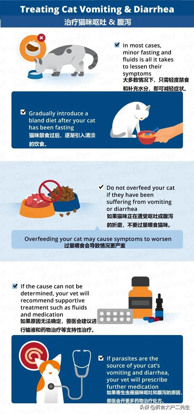 猫咪呕吐没消化的猫粮怎么办,go九种肉猫粮猫什么阶段能吃