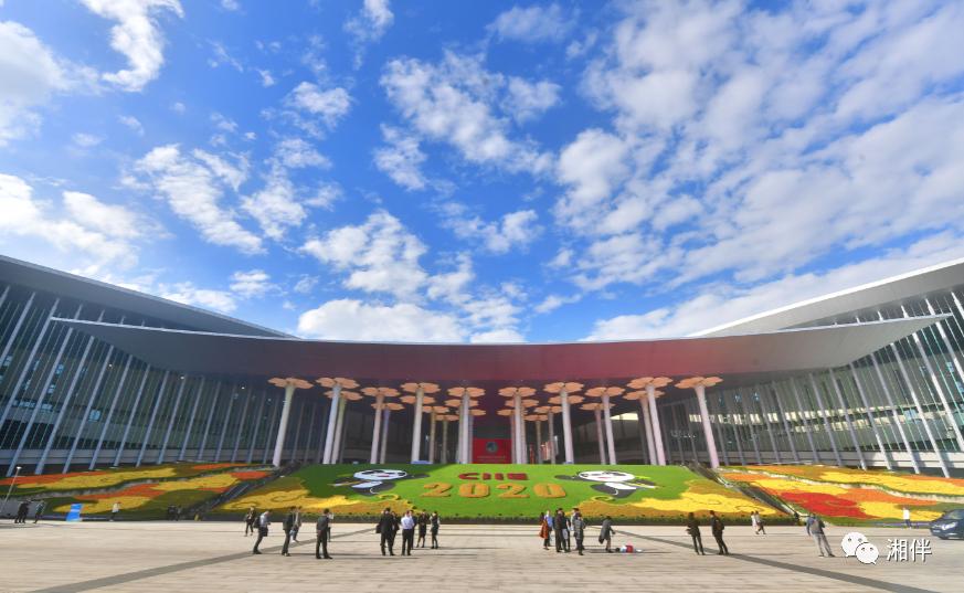 不一样的进博会湖南元素 (湖南进博会)