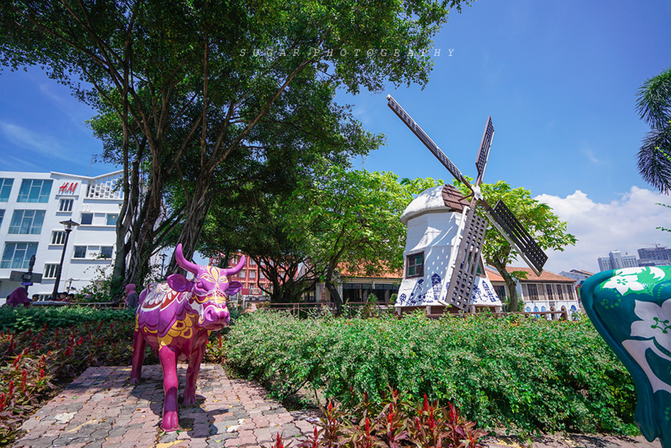马来西亚西马旅游最佳线路图,马来西亚旅游怎么玩