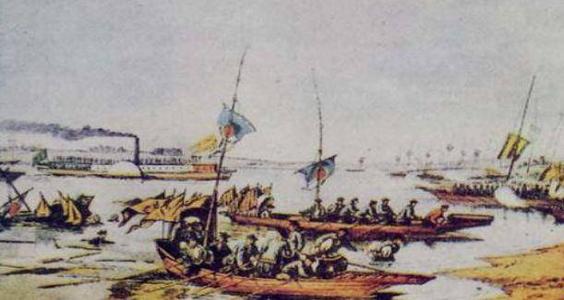 晚清名将彭玉麟和梅花的不解之缘,彭玉麟国画梅花