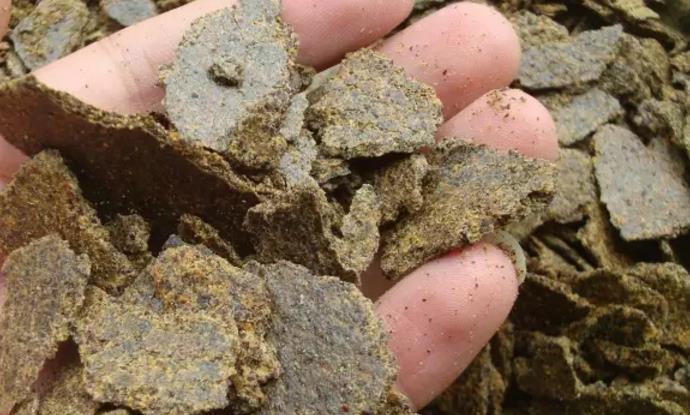 花生麸发酵用糖蜜好还是红糖好,花生麸水肥发酵用红糖还是糖蜜好