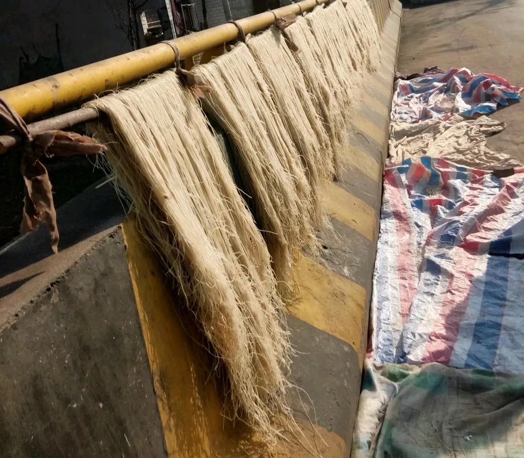 传统的粉条需要加明矾吗,手工粉条与机制粉条都加明矾吗