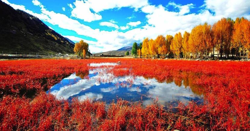 去稻城亚丁有什么路线,去稻城亚丁怎么去路线最好