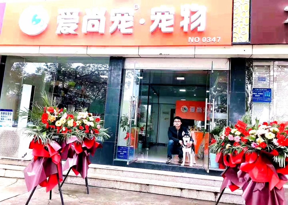 汉阳宠物店加盟收费多少,青山宠物店加盟哪家好啊