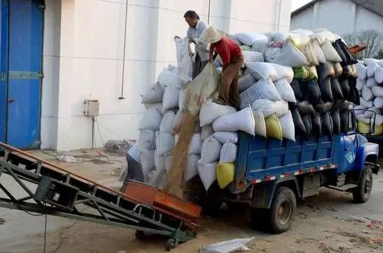 如何预防电子磅作弊,电子磅作弊