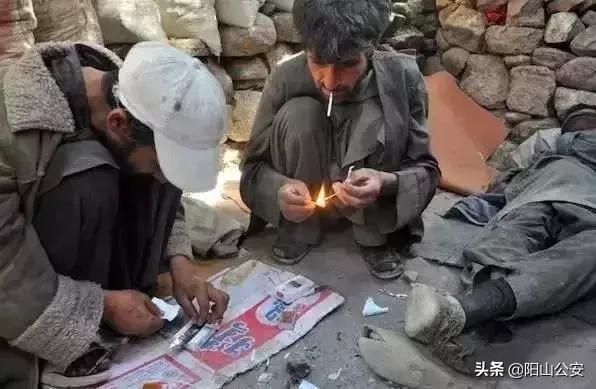 最毒的蝎子烟图片,蝎子烟是什么毒