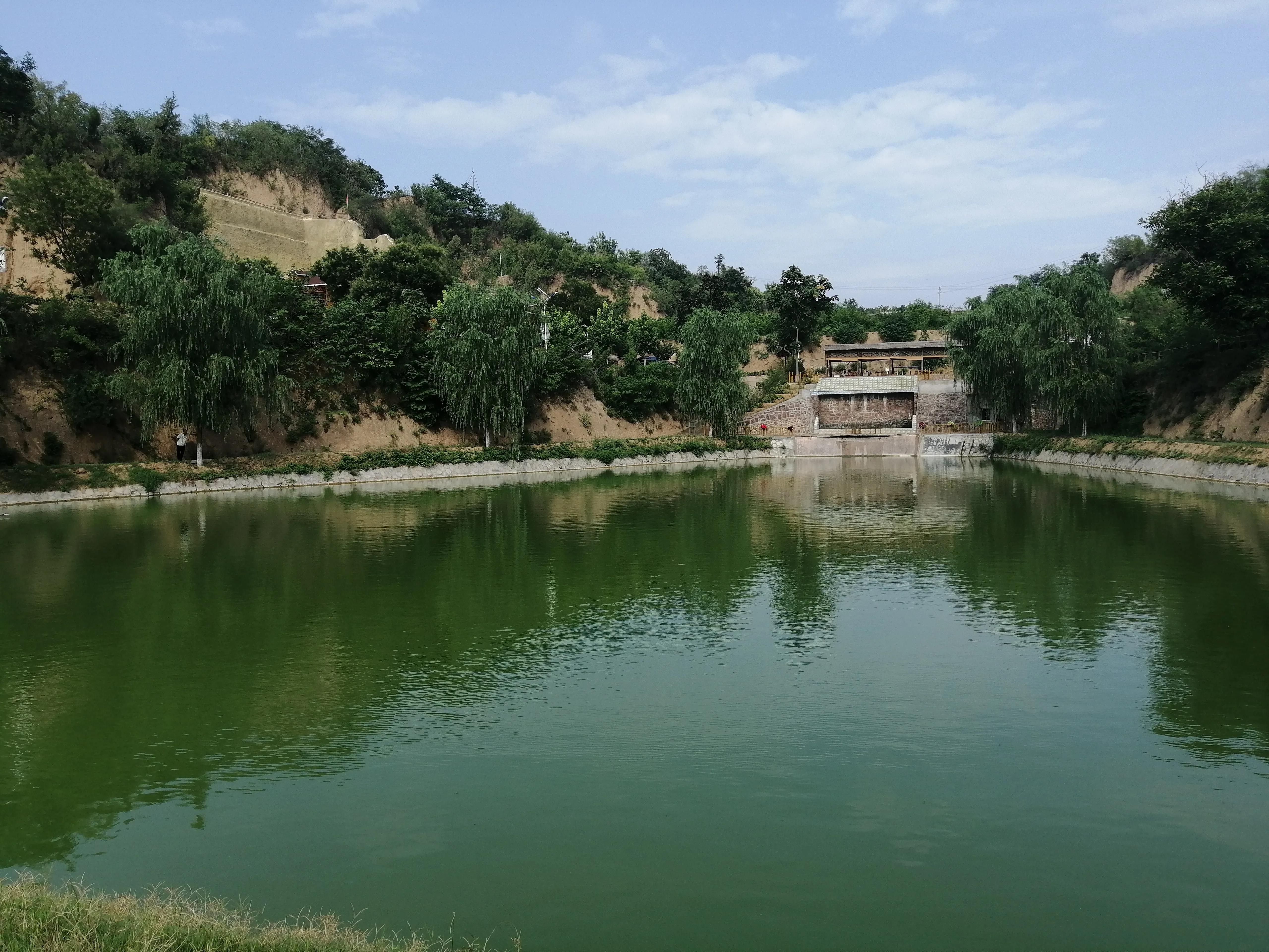 水产鱼出血病怎么治,鱼出血病最快的治疗方法