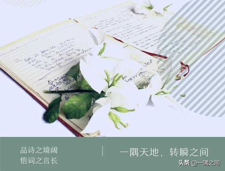 以诗会友词,以诗会友之系列