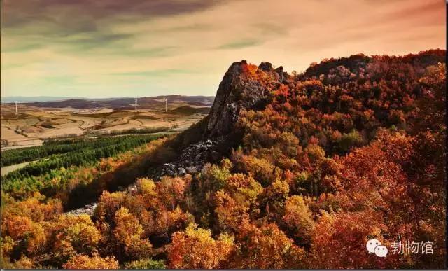 我叫勃利，这是我的个人名片