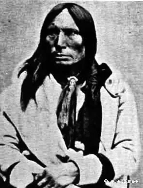 印第安人狩猎美洲野牛,美洲野牛印第安人